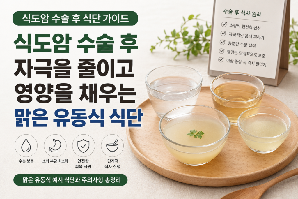 식도암 수술 후유동식 식단, 자극 줄이는 음식과 주의사항 1 ba8a9b58 f060 402a aca7 19d50dc2a3b6