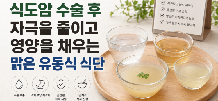 식도암 수술 후유동식 식단, 자극 줄이는 음식과 주의사항
