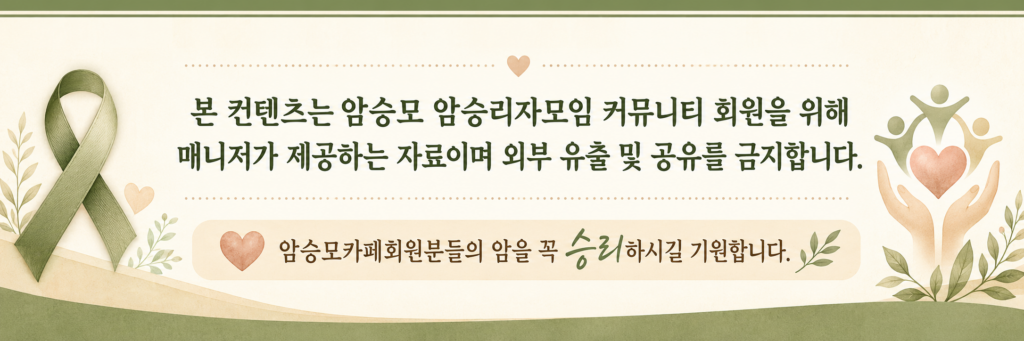 컨텐츠 하단 공지